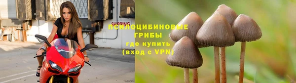 PSILOCYBIN Арсеньев